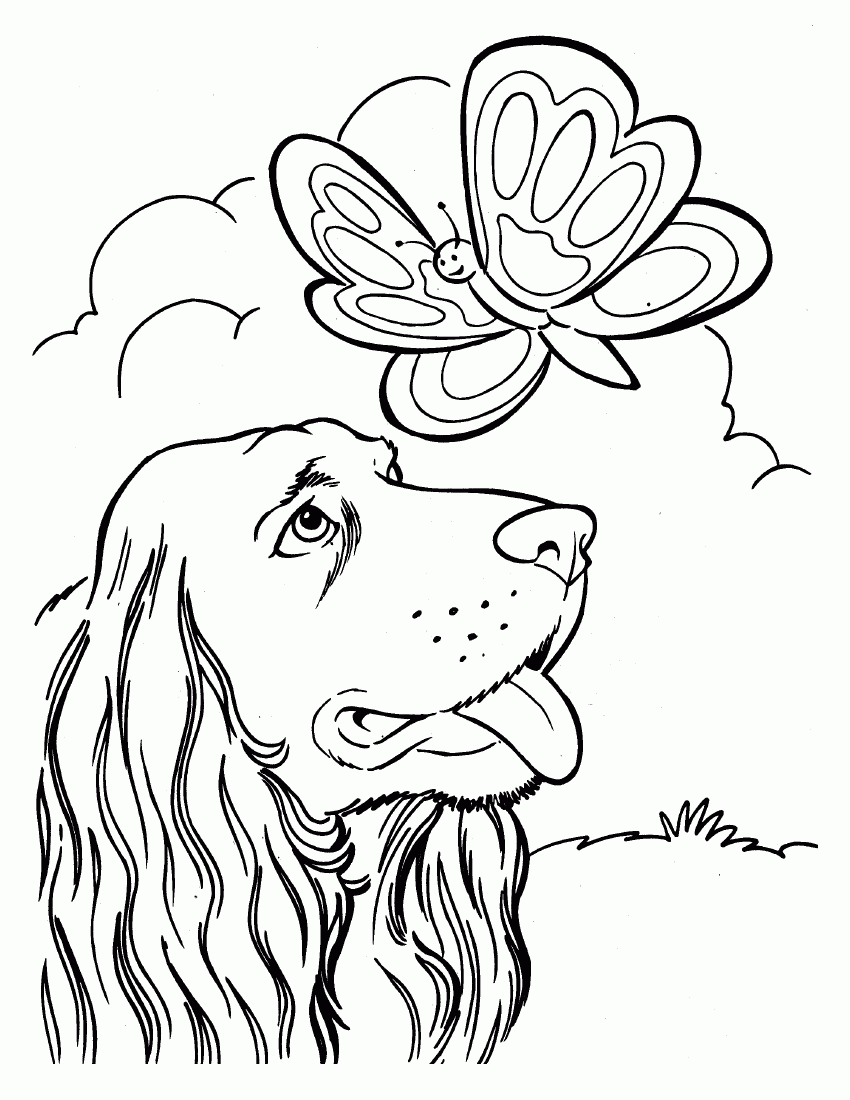 Kolorowanka Pies i Motyl - Twórcza Zabawa dla Dzieci kolorowanka do druku